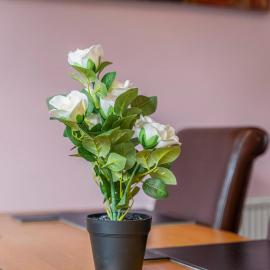Modern 4-Bed Serviced Apartment- Free Parking Wi-Fi - Near CBS Arena -M6 -UHCW