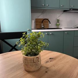 Sfara Residence Studio2, hotel Nagybányán