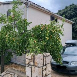 Apartments with parking space Mandre, Pag - 24574