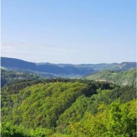 Mobil-home Familial Lozère, hotel in Banassac