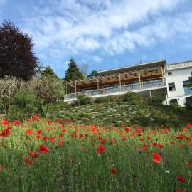 Bed and Breakfast Admiramini