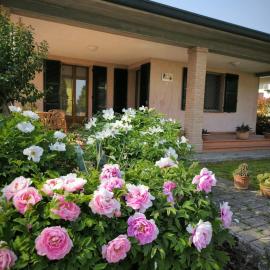 Santo Stefano में, होटल Bed and Breakfast La Contessa