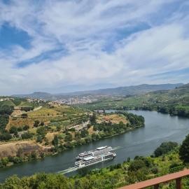 Delfim Douro Hotel, hotel di Lamego