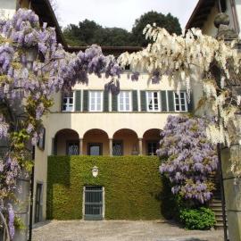 Al Colle