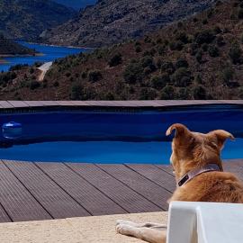 Quinta Flor Dos Lagos - Eco Tiny Hause, hotel i Torre de Moncorvo