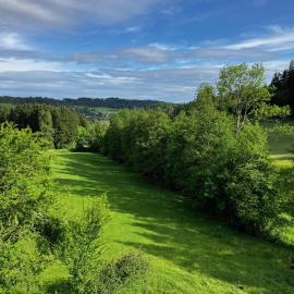 Landhaus Ferienwohnung - Am Leinbach - stilvoll renoviertes Apartment 85m2 - Schwarzwald