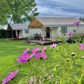 Daisy Glamping Tent at Zenzen Gardens, hotel a Paonia