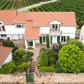 Ferienhaus im Weinberg Kallstadt