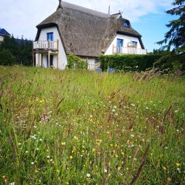 Appartements am Jagdschloss Whg 2