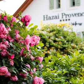 Hazai Provence, hotel di Kapolcs