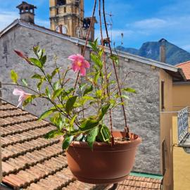 Antonio's home, hotel v destinaci Colonno