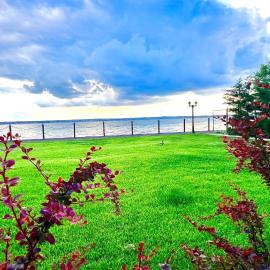 Majestia Apartment Mamaia