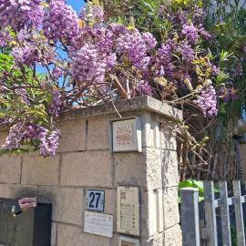 Casa dei glicini