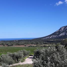 Agriturismo Su Barcu, hotel v destinaci Cala Gonone