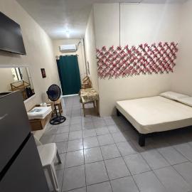 Hotel la ceiba, hotel u gradu 'Cedro'