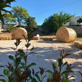 Trullo martina