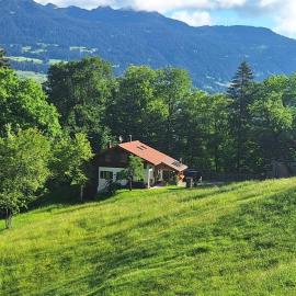 Bergmomente Montafon Ferienhaus Bitschweil, Hotel in Tschagguns