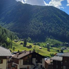 Appartamento Edelweiss