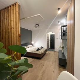 Nest Studio Deluxe