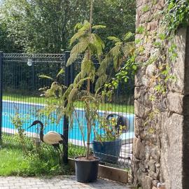 Gîte l'Hermine