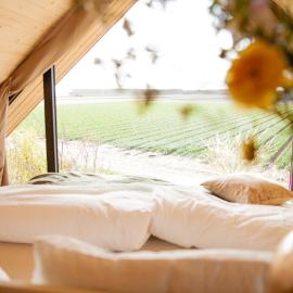 Ecohome Golf 8pers and baby Zeezand Recreatie