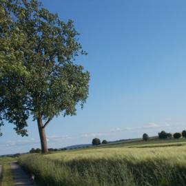 Natur und Ruhe - für Ruhe suchenden, hotel v destinácii Uslar