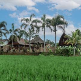 Umadesa Villa Tegallalang Ubud, hotel in Penginyahan