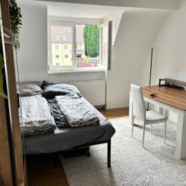 Loft near the Castle, Private Room - shared spaces and bathroom