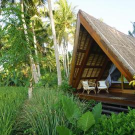 Coconut Corner - Rice Field Dome