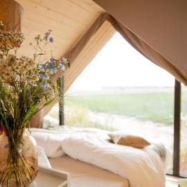 Ecohome Bries 8personen en baby Zeezand Recreatie