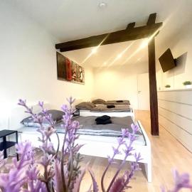 Work & Enjoy Apartments in Todendorf