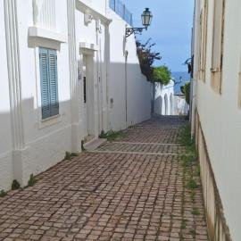 Manu's Place