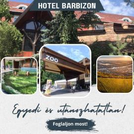 Hotel Barbizon, hotel v destinaci Nyíregyháza