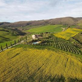 Agriturismo Cacciamici