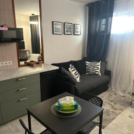 Stylish apartmens near Minsk Mazowiecki