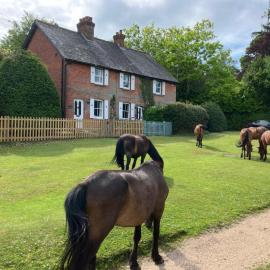 Yew Tree Cottage