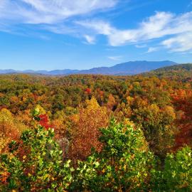 Smoky View Cabin by Venture Smoky Mountains
