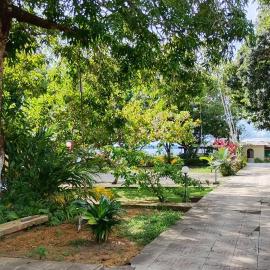 PousadafaroldoRionegro, hotel in Novo Airão