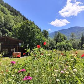Timber Charm Chalet, hotel din Rau Sadului