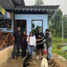 The Blue House, hotel Pellingben