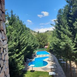 Villa Dalmatina with pool, hotel in Kumanovo
