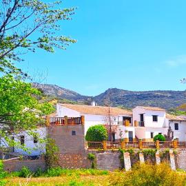 Suitur Cortijo de Don Lolo