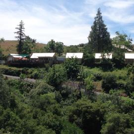 Priest Station Cafe & Cabins, hotel in Groveland