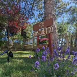 Agriturismo Boschetto