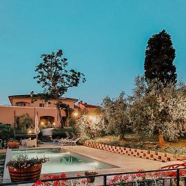 The Olive Grove in Tuscany