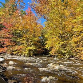 Twin Creeks, Waterfront Catskills Retreat, Hotel in Ellenville