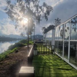 Epel Bintang tepi danau