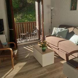Petit nid douillet , T1 traversant , séjour , balcon ,cuisine indépendante, loggia , au calme, proche centre ville
