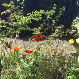La Dolce Vita, hotel a Montchanin