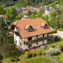 Villa Planina, hotel in Rateče